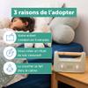 Morphe- Mon Petit Morphe - (French Version) - Audio Player for Children from 3 Years Old, Storytelling & Sleep Aid Kids Learning Toy, Helps Calm Down/Fall Asleep, Great Unique Gift, Travel Friendly view 4