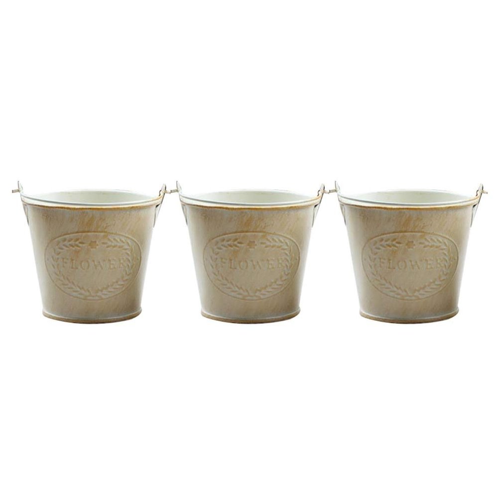 Sosoport 3pcs Golden Iron Mini Flower Bucket Planters with Handles