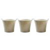 Sosoport 3pcs Golden Iron Mini Flower Bucket Planters with Handles view 1